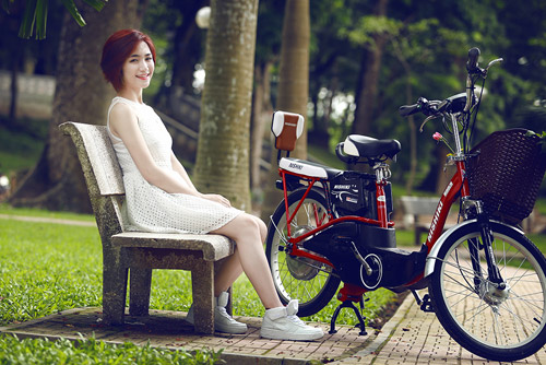 Xe đạp điện Nishiki Nhật Bản - 
